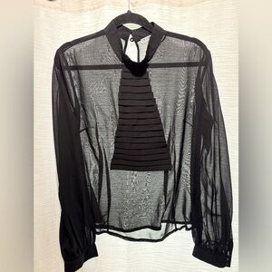 Elegant Black Sheer Blouse by Ice Cube